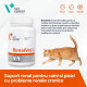 RenalVet Vet Expert – Supliment pentru Susținerea Funcției Renale la Câini și Pisici – 60 Capsule Twist-Off